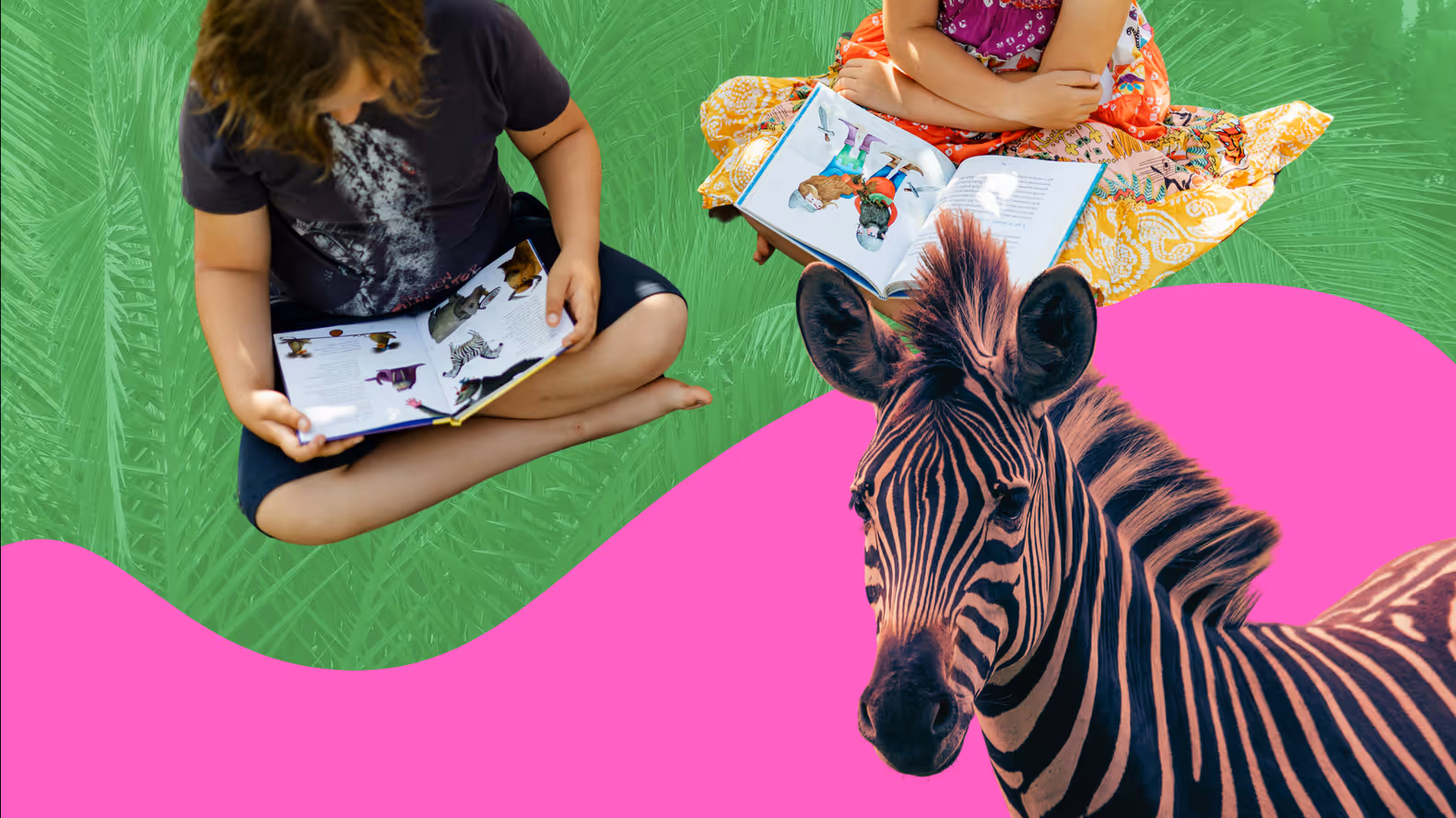 Everything you need to know about 4th-grade homeschool curriculum