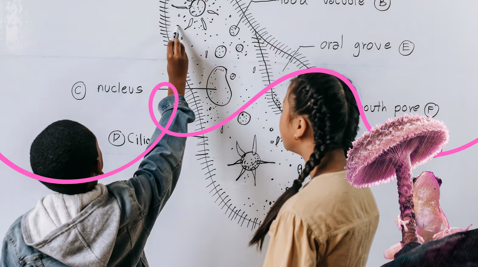 Everything You Need to Know About 6th-Grade Homeschool Curriculum