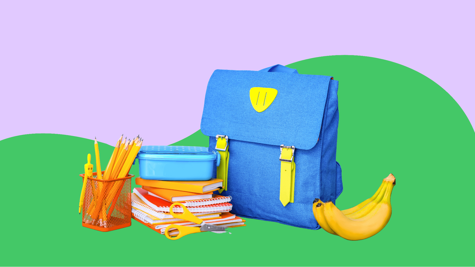 The family guide to affordable homeschool curriculum options