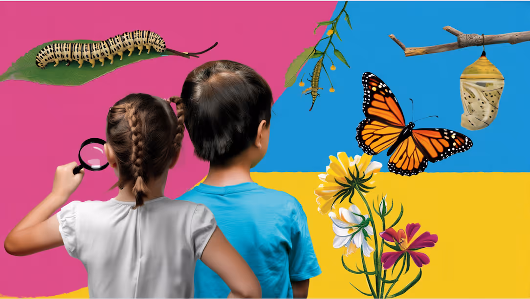 Homeschool Biology Curriculum: Choices, Resources, and Challenges