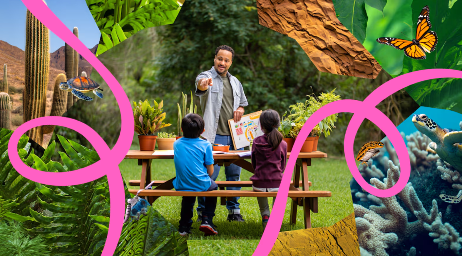 What's a homeschool co-op, and how does it work?