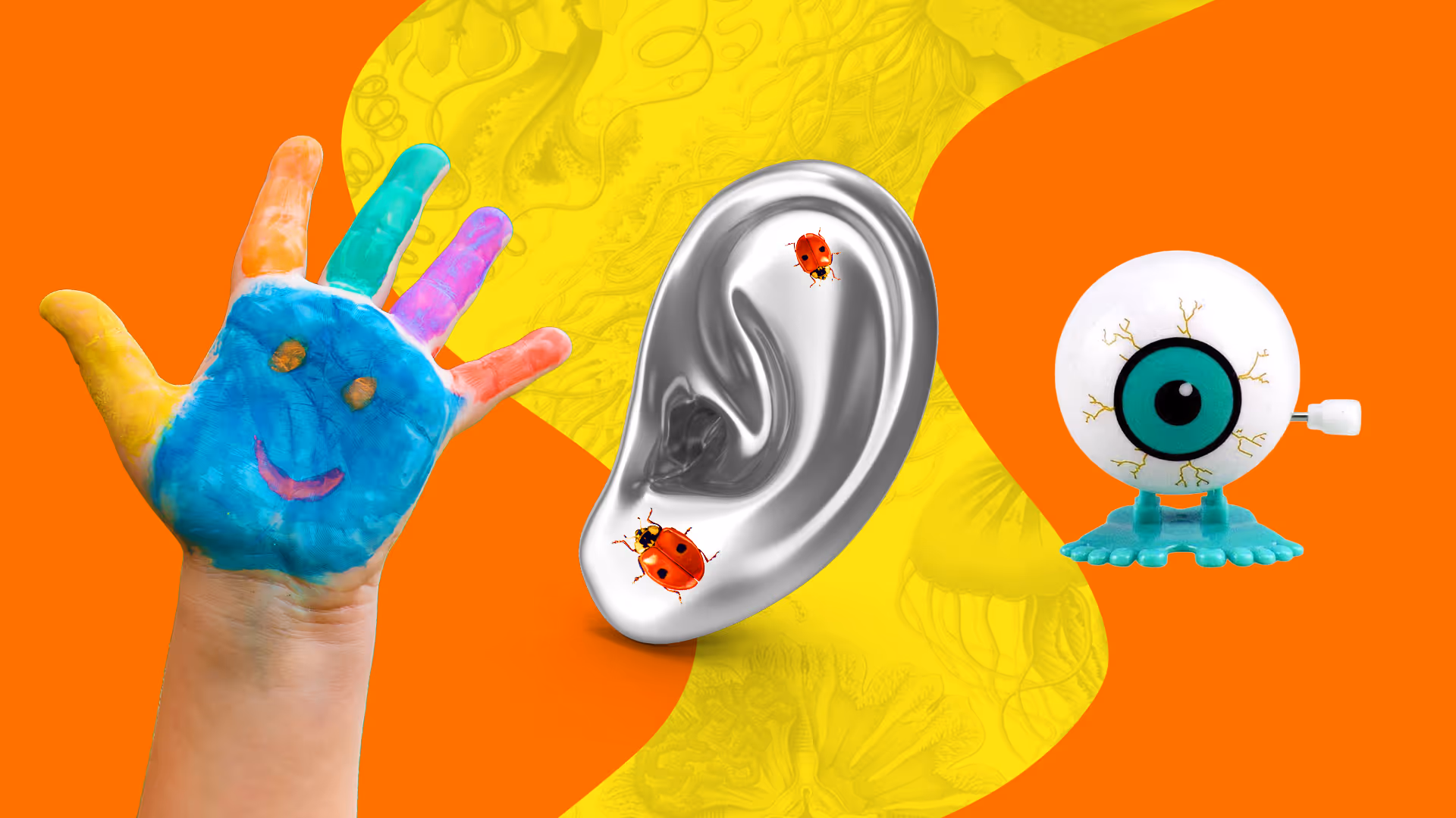 Beyond Learning Styles: How Modern Teaching Helps Kids Grow With Confidence