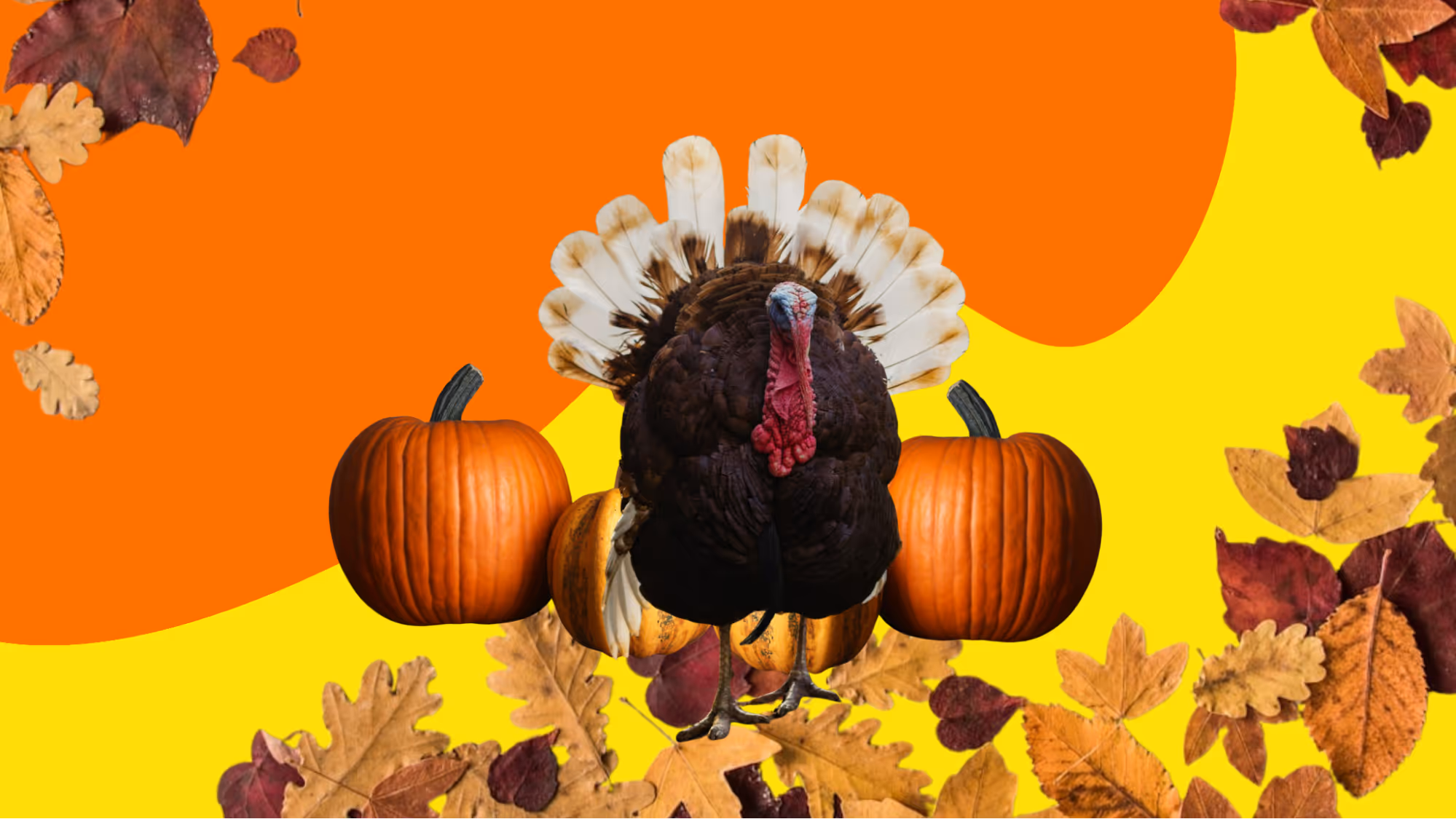 Fun Thanksgiving Homeschool Unit Study Activities for Kids